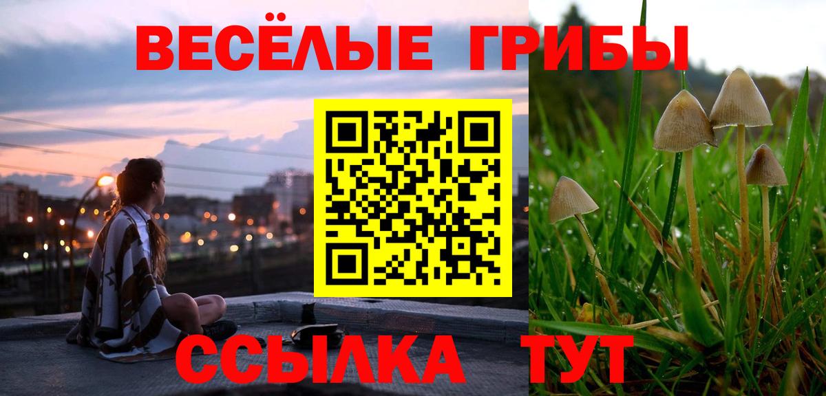 купить закладку  Галлюциногенные грибы MAGIC MUSHROOMS  Вход с VPN  Отрадное  Галлюциногенные грибы мицелий 